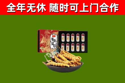 枣强县烟酒回收冬虫夏草礼盒.jpg